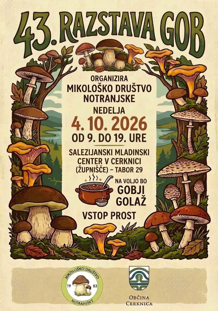 plakat razstava MDN